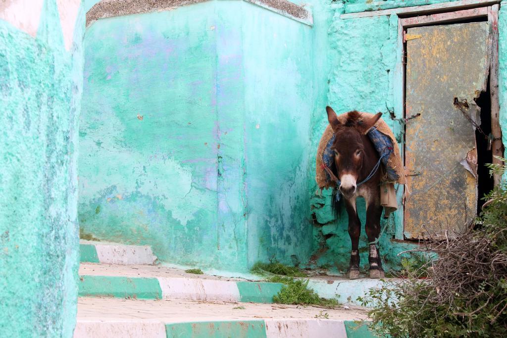Dar Zerhoune Moulay Idriss Kültér fotó