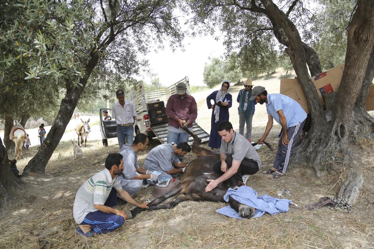 Dar Zerhoune Moulay Idriss Kültér fotó
