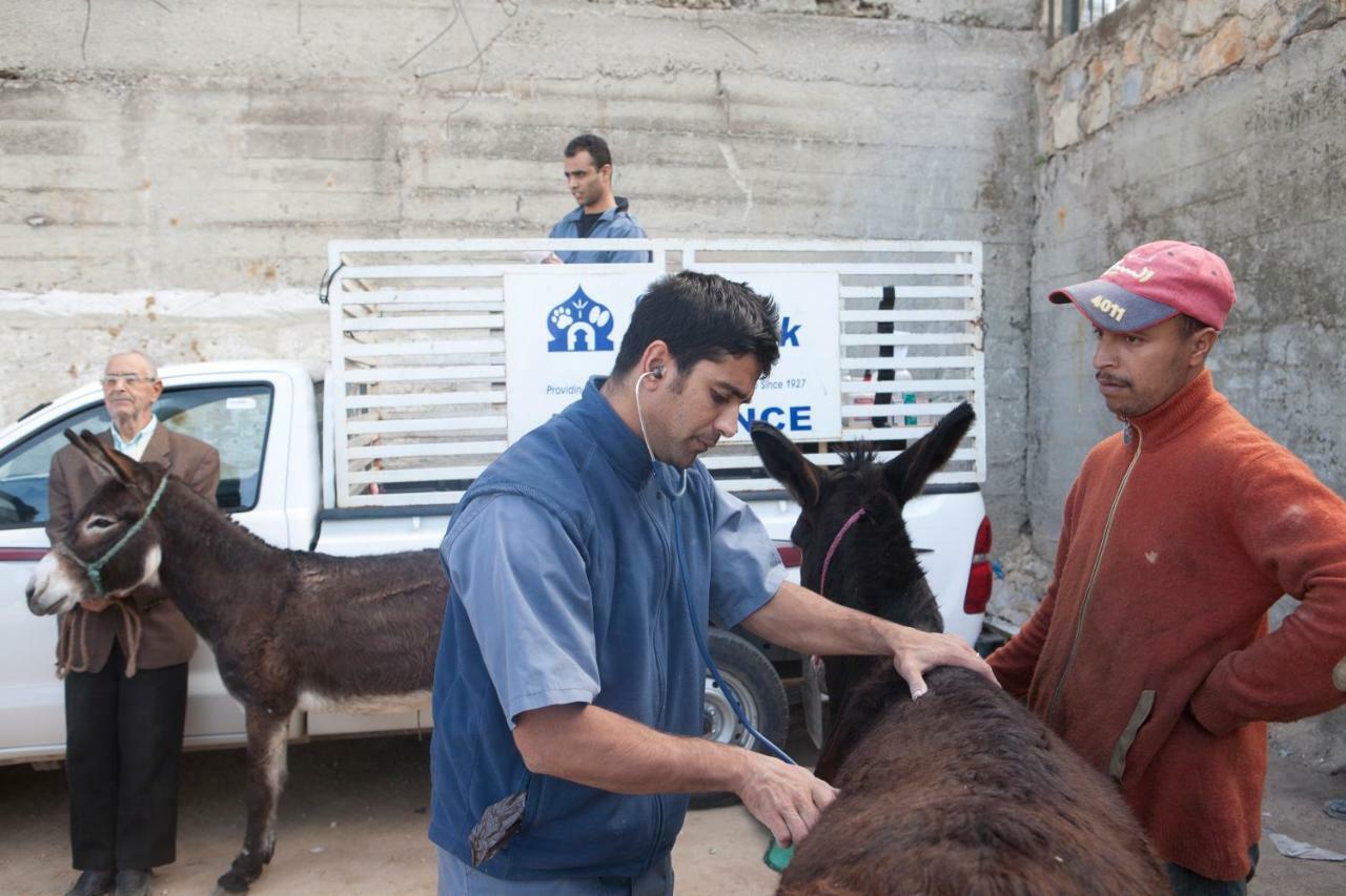 Dar Zerhoune Moulay Idriss Kültér fotó
